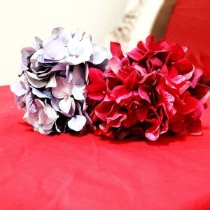 Meet your Posher, Isra